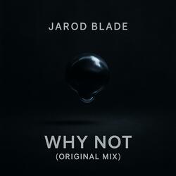 Why Not (Original Mix)