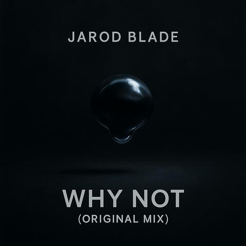 Why Not (Original Mix)
