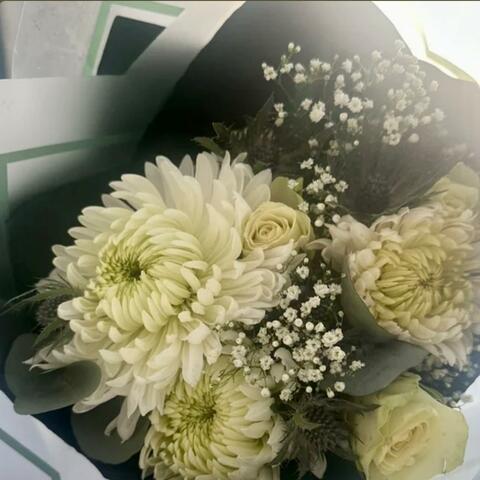 BABY'S BREATH
