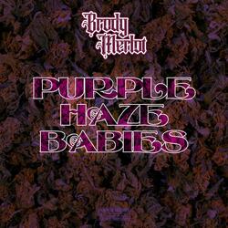 PURPLE HAZE BABIES