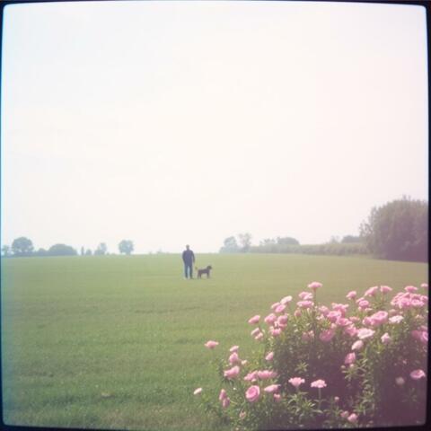 届かないままでいい