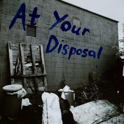 At Your Disposal