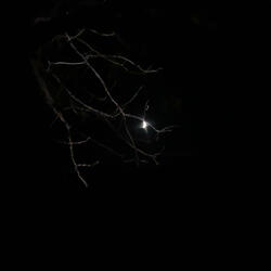 Juntos Hasta el Final (Nocturnal Spoken Afterhours)