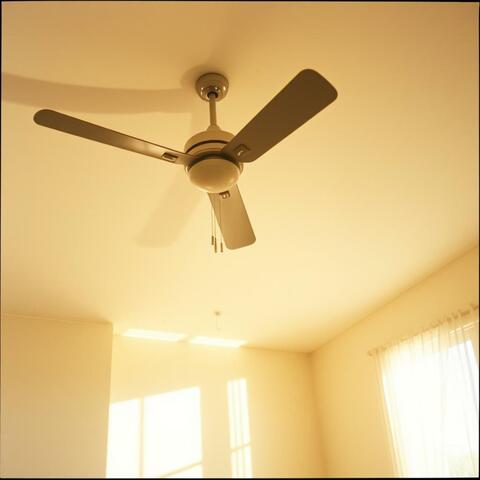 Curtain Dust, Golden Light