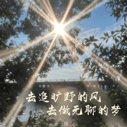 去追旷野的风 去做无聊的梦