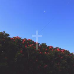 Make Amends