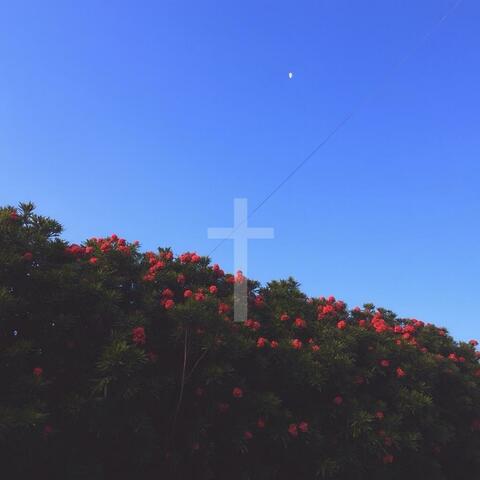 Make Amends
