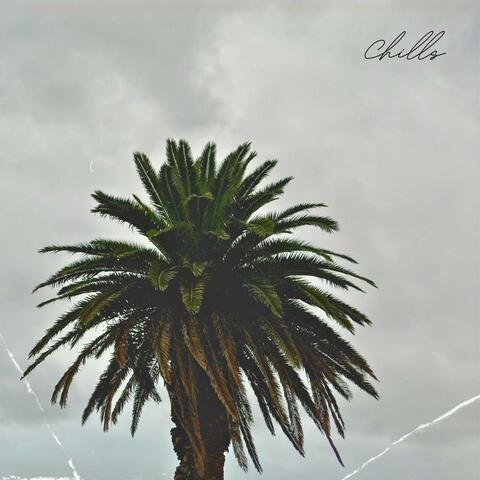 Grey Skies