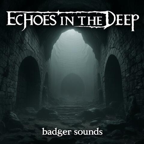 Echoes in the Deep