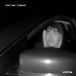 CUANDO LLEGARAS?? (feat. sekoboee & Yung Pock)