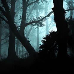 Eerie Tense Low Drone Noise