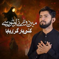 Ma Dorrte Auntoon Se Kayi Bar Giri Baba || 13 Safar Shahadat Bibi Sakina as