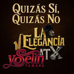 Quizas Si, Quizas No<