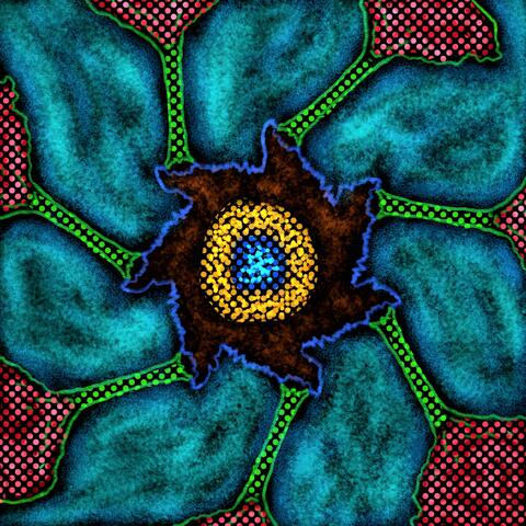 Locus of Hyperfocus