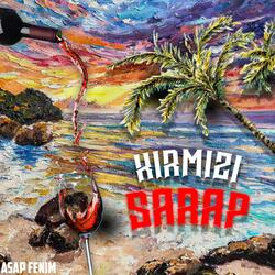 KIRMIZI ŞARAP