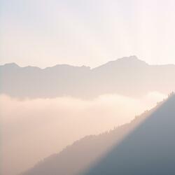 Cleansing Light