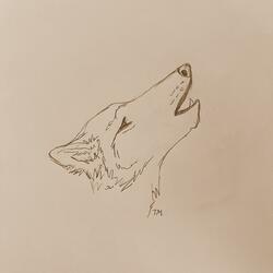 มนุษย์หมาป่า (Werewolf)