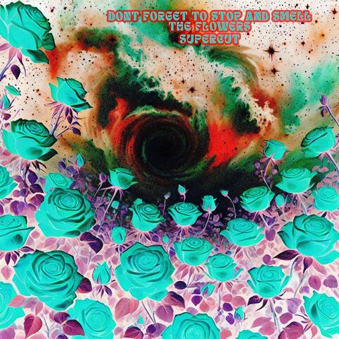 Dont Forget To Stop And Smell The Flowers Supercut