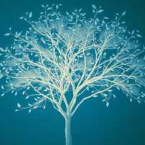 I Outgrew The Apology