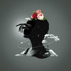 Head in the Clouds