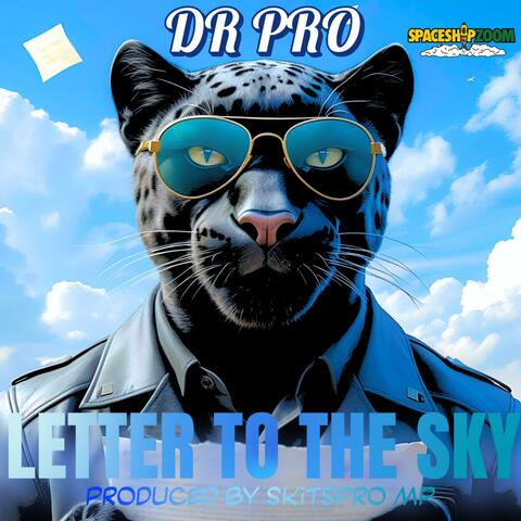 LETTER TO THE SKY (feat. SKITSPRO MP) [Radio Edit]