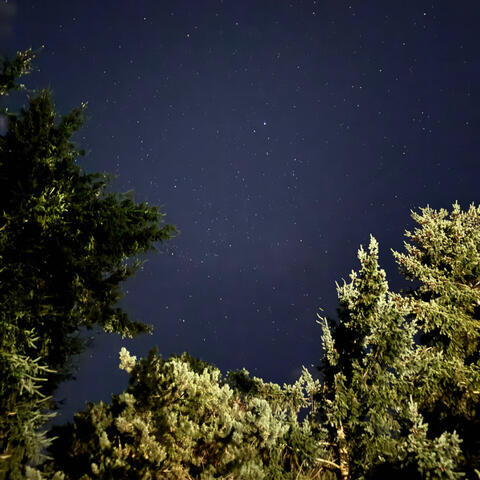 Stars Misaligned