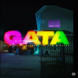 GATA (feat. Iamnicolas)