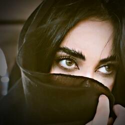 دول رباب مجلسی بسیار دیوانگان