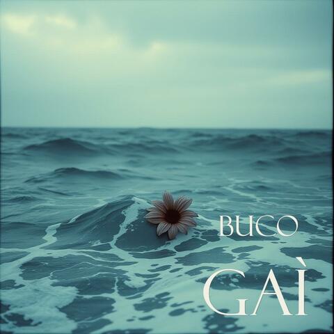 Buco
