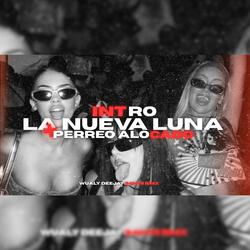 Intro La Nueva Luna + Perreo Alocado (feat. S4nti RMX)