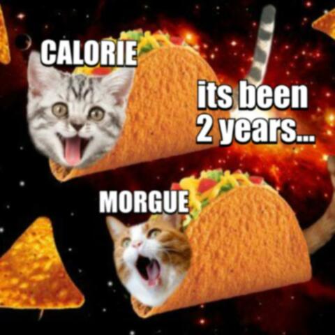 its been 2 years... (feat. morgue)