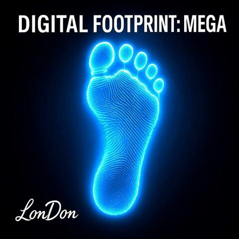 Digital Footprint: Mega Edition