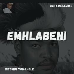 EMHLABENI (feat. Intombi yomqhele) (Radio Edit)