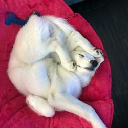 Know I Have To Sleep