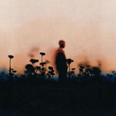 The Failed Marriage Story