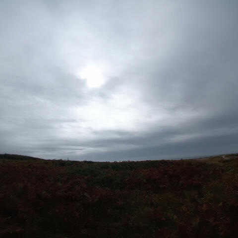 Au delà-de nous