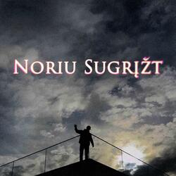 Noriu Sugrįžt (feat. ELBY)