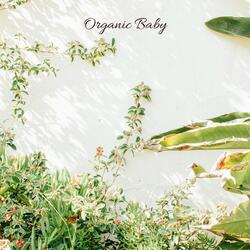 Organic Baby