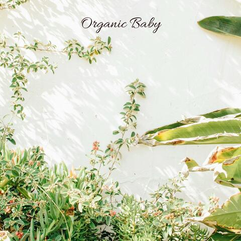 Organic Baby