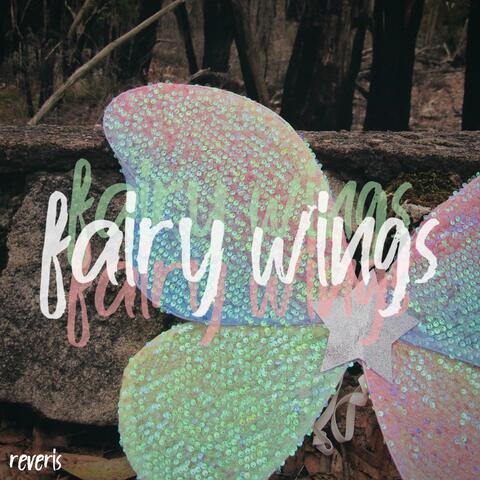 fairy wings