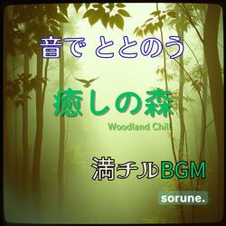 羽音と木洩れ日