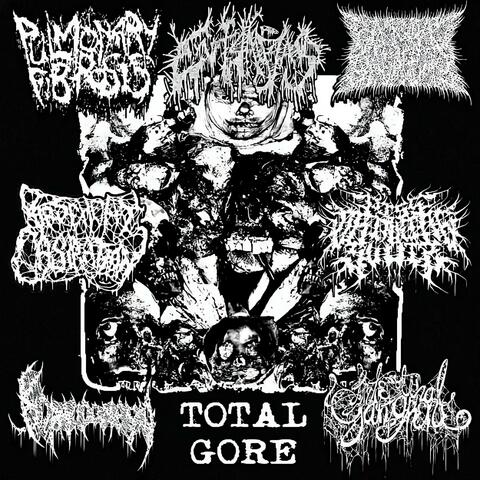 7 Way Total Gore Split