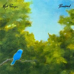 Bluebird