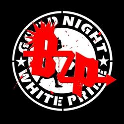 Punk's Not Dead