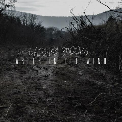 Ashes In The Wind