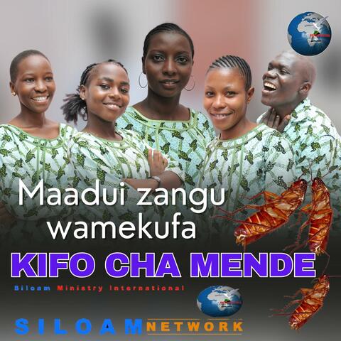 MAADUI ZANGU WAMEKUFA KIFO CHA MENDE