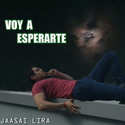 Voy a Esperarte