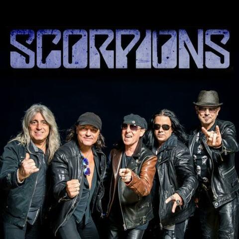 Shadows and flames (tribute of scorpions)