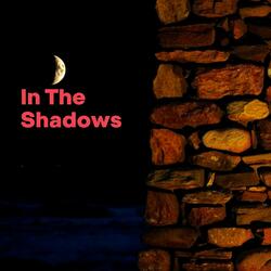 In The Shadows