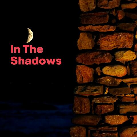 In The Shadows